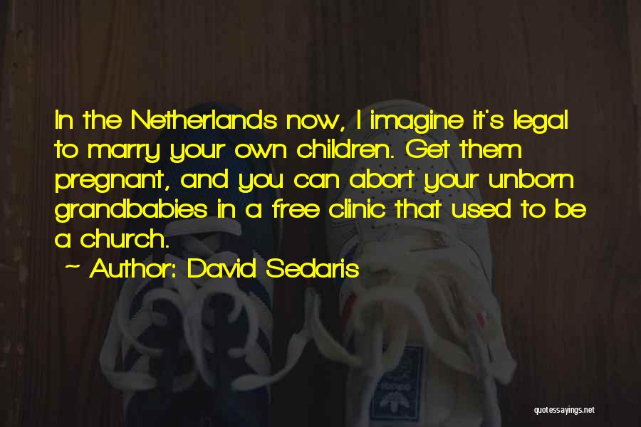 David Sedaris Quotes: In The Netherlands Now, I Imagine It's Legal To Marry Your Own Children. Get Them Pregnant, And You Can Abort