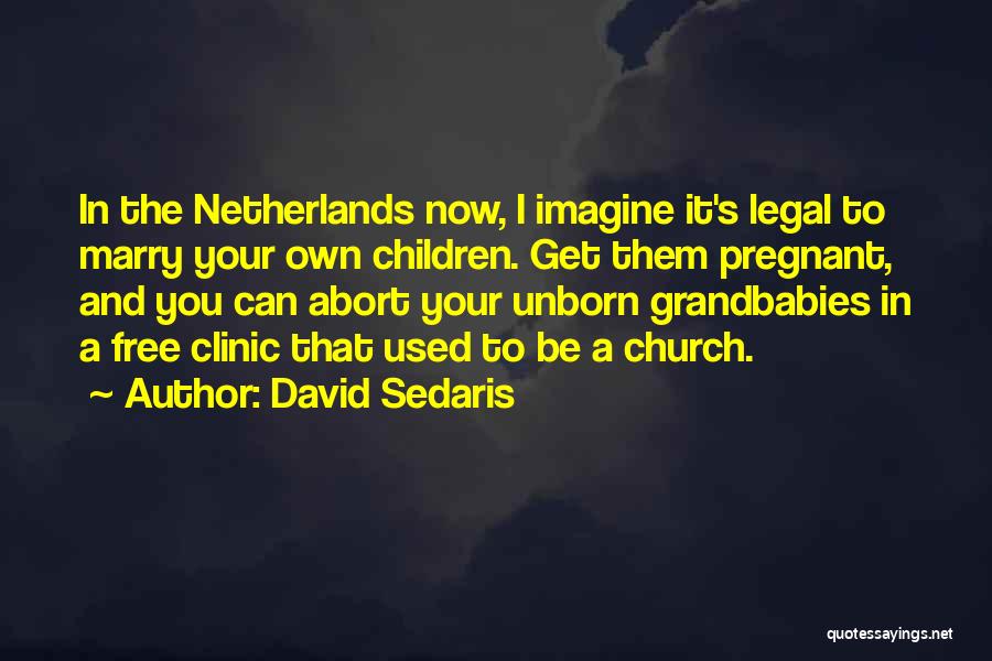 David Sedaris Quotes: In The Netherlands Now, I Imagine It's Legal To Marry Your Own Children. Get Them Pregnant, And You Can Abort