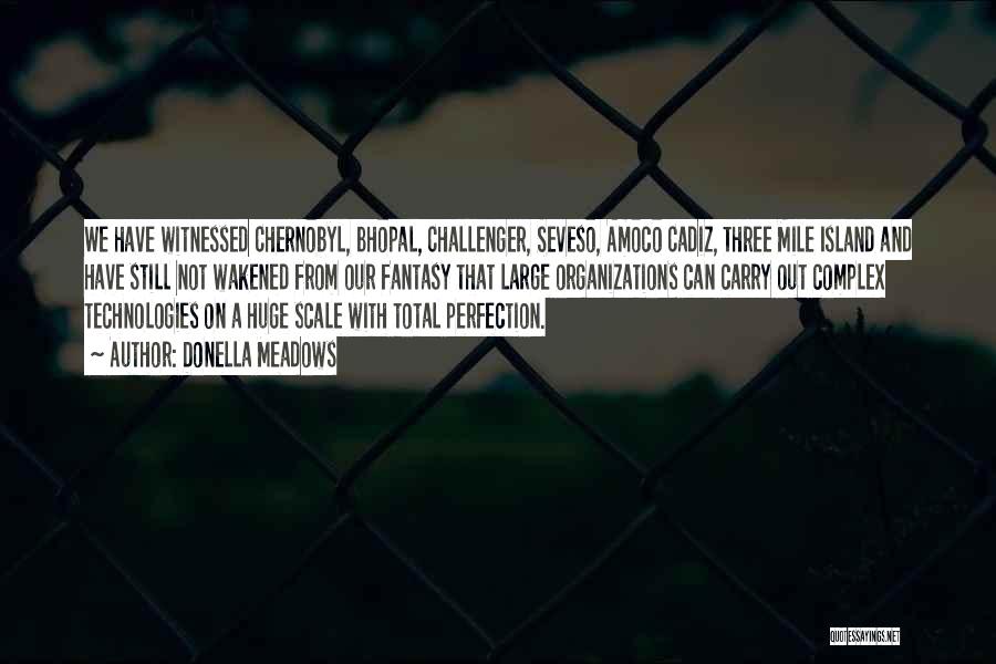 Donella Meadows Quotes: We Have Witnessed Chernobyl, Bhopal, Challenger, Seveso, Amoco Cadiz, Three Mile Island And Have Still Not Wakened From Our Fantasy