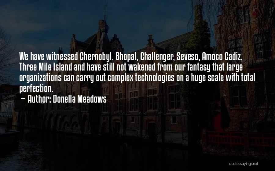 Donella Meadows Quotes: We Have Witnessed Chernobyl, Bhopal, Challenger, Seveso, Amoco Cadiz, Three Mile Island And Have Still Not Wakened From Our Fantasy