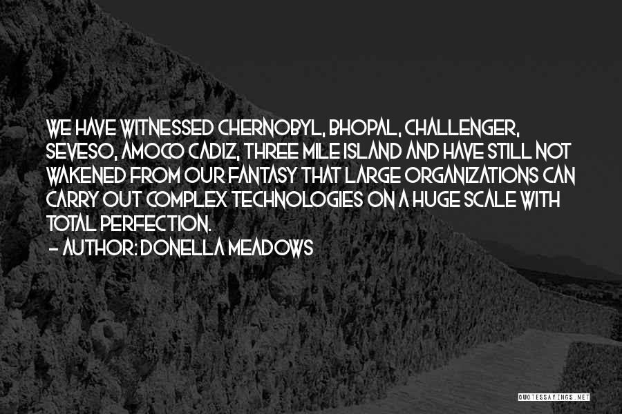 Donella Meadows Quotes: We Have Witnessed Chernobyl, Bhopal, Challenger, Seveso, Amoco Cadiz, Three Mile Island And Have Still Not Wakened From Our Fantasy