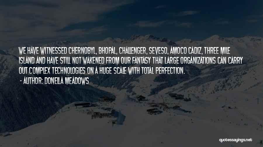 Donella Meadows Quotes: We Have Witnessed Chernobyl, Bhopal, Challenger, Seveso, Amoco Cadiz, Three Mile Island And Have Still Not Wakened From Our Fantasy