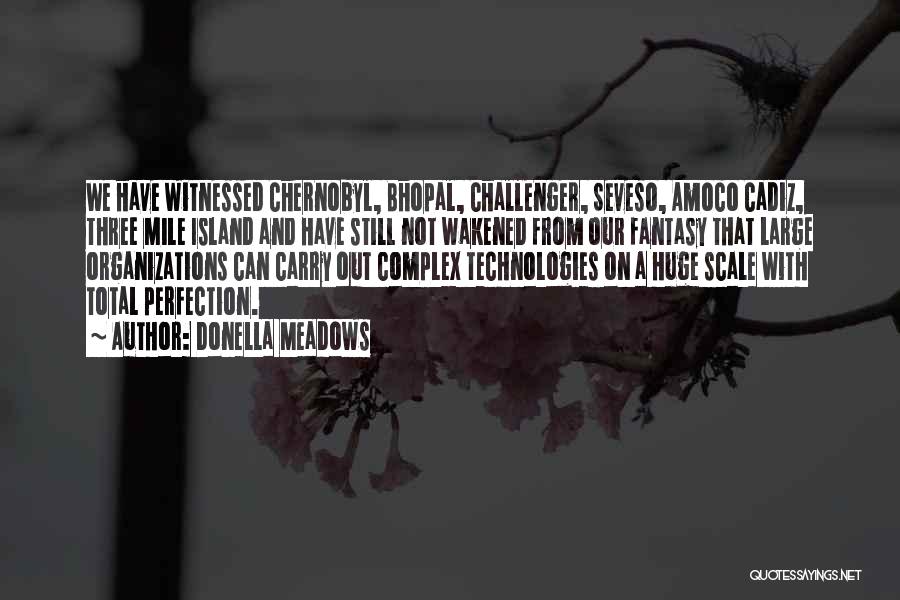 Donella Meadows Quotes: We Have Witnessed Chernobyl, Bhopal, Challenger, Seveso, Amoco Cadiz, Three Mile Island And Have Still Not Wakened From Our Fantasy