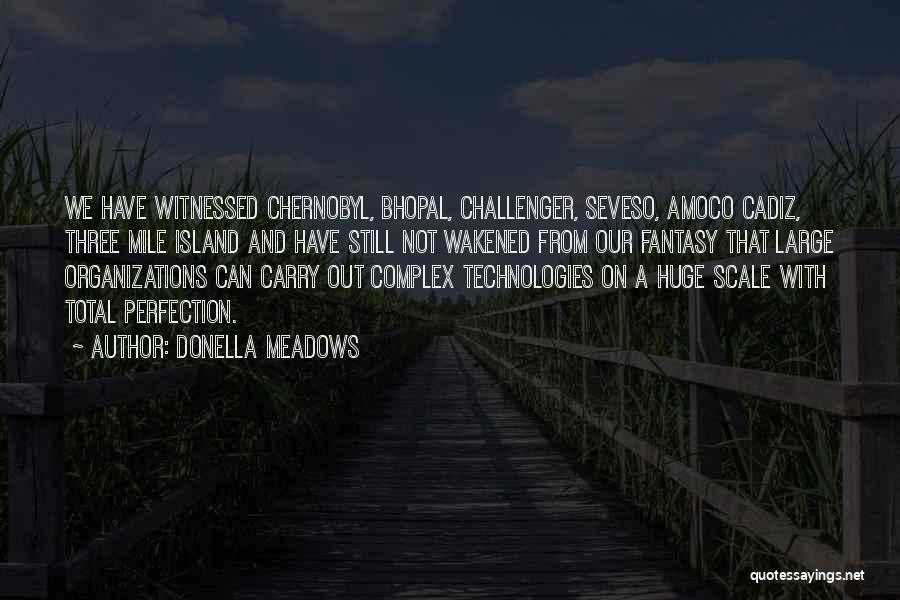 Donella Meadows Quotes: We Have Witnessed Chernobyl, Bhopal, Challenger, Seveso, Amoco Cadiz, Three Mile Island And Have Still Not Wakened From Our Fantasy