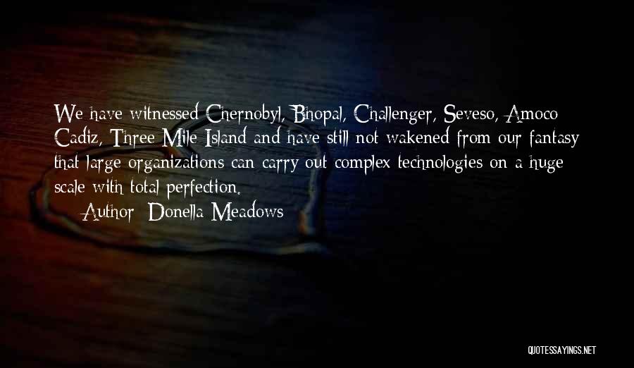 Donella Meadows Quotes: We Have Witnessed Chernobyl, Bhopal, Challenger, Seveso, Amoco Cadiz, Three Mile Island And Have Still Not Wakened From Our Fantasy