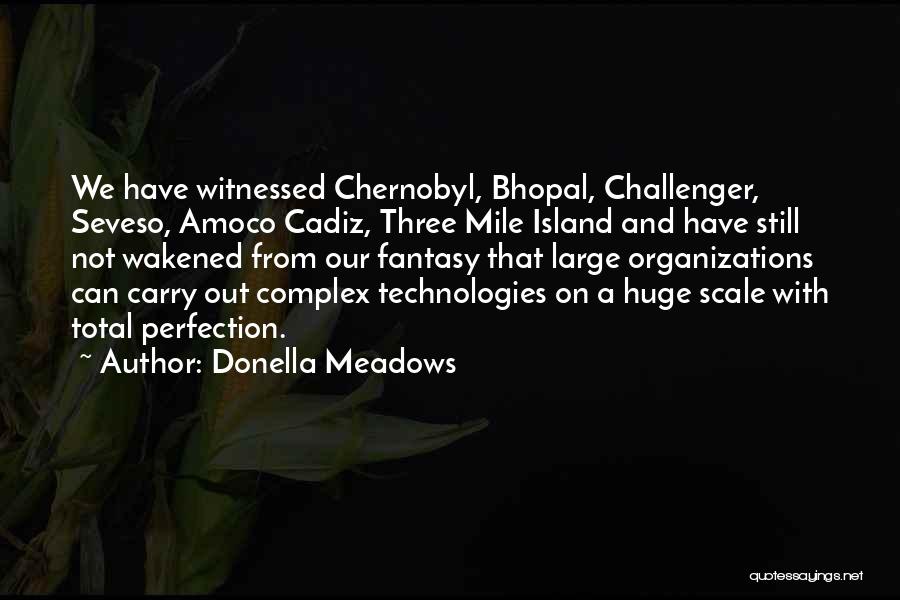 Donella Meadows Quotes: We Have Witnessed Chernobyl, Bhopal, Challenger, Seveso, Amoco Cadiz, Three Mile Island And Have Still Not Wakened From Our Fantasy