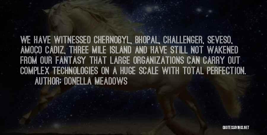 Donella Meadows Quotes: We Have Witnessed Chernobyl, Bhopal, Challenger, Seveso, Amoco Cadiz, Three Mile Island And Have Still Not Wakened From Our Fantasy