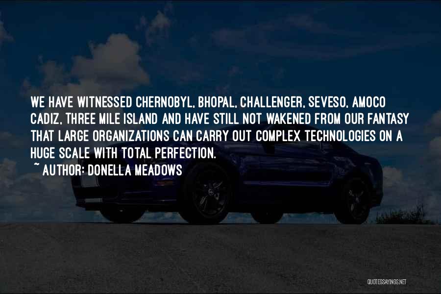 Donella Meadows Quotes: We Have Witnessed Chernobyl, Bhopal, Challenger, Seveso, Amoco Cadiz, Three Mile Island And Have Still Not Wakened From Our Fantasy