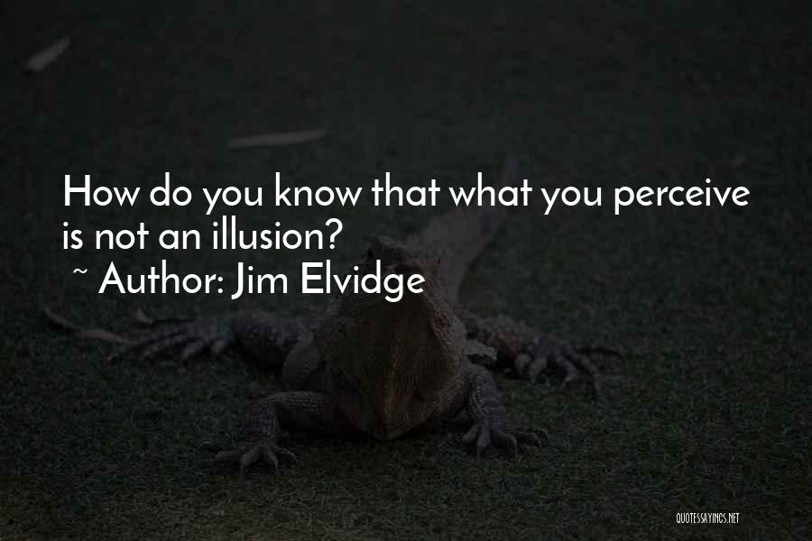 Jim Elvidge Quotes: How Do You Know That What You Perceive Is Not An Illusion?