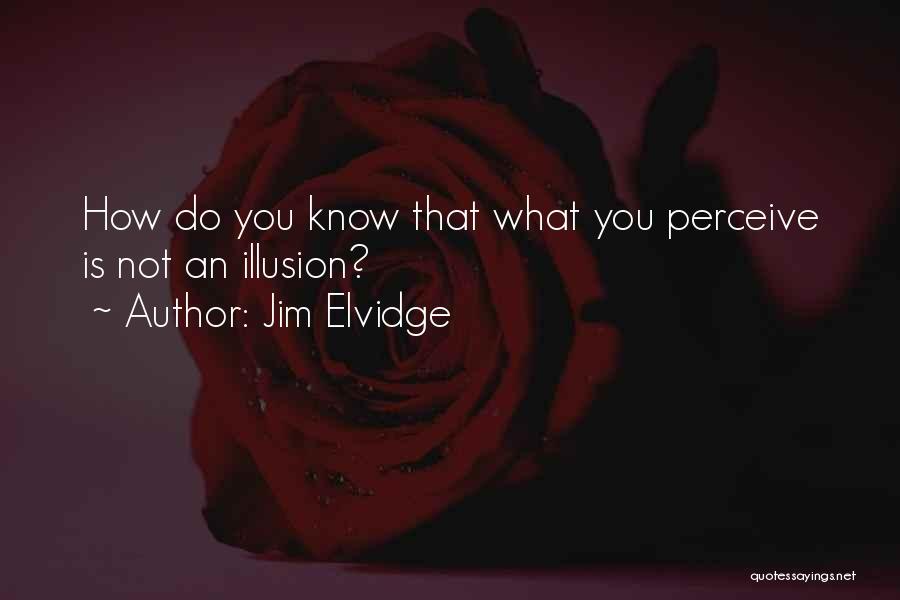 Jim Elvidge Quotes: How Do You Know That What You Perceive Is Not An Illusion?
