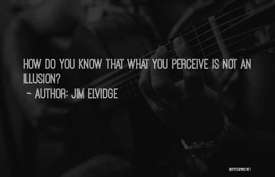 Jim Elvidge Quotes: How Do You Know That What You Perceive Is Not An Illusion?