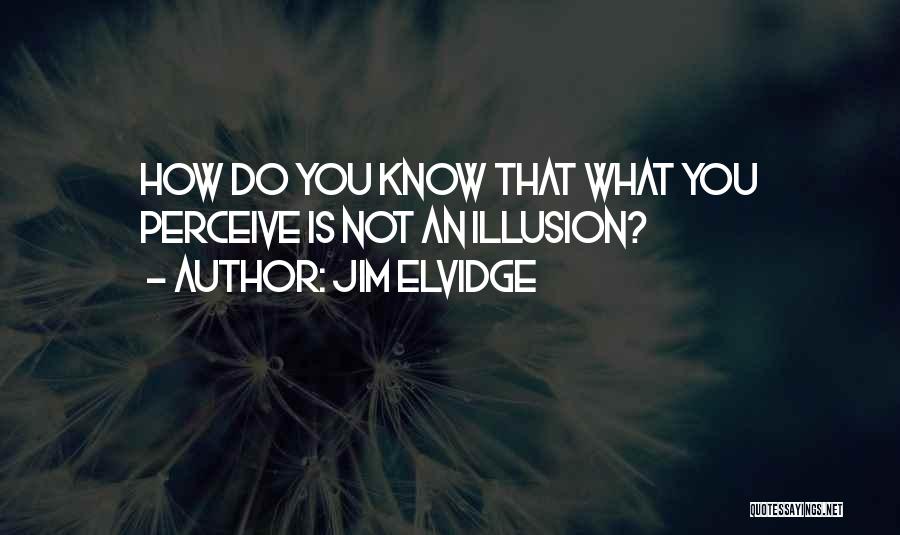 Jim Elvidge Quotes: How Do You Know That What You Perceive Is Not An Illusion?
