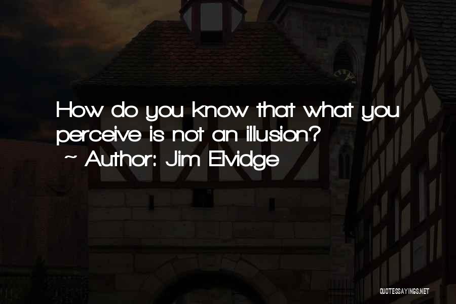 Jim Elvidge Quotes: How Do You Know That What You Perceive Is Not An Illusion?