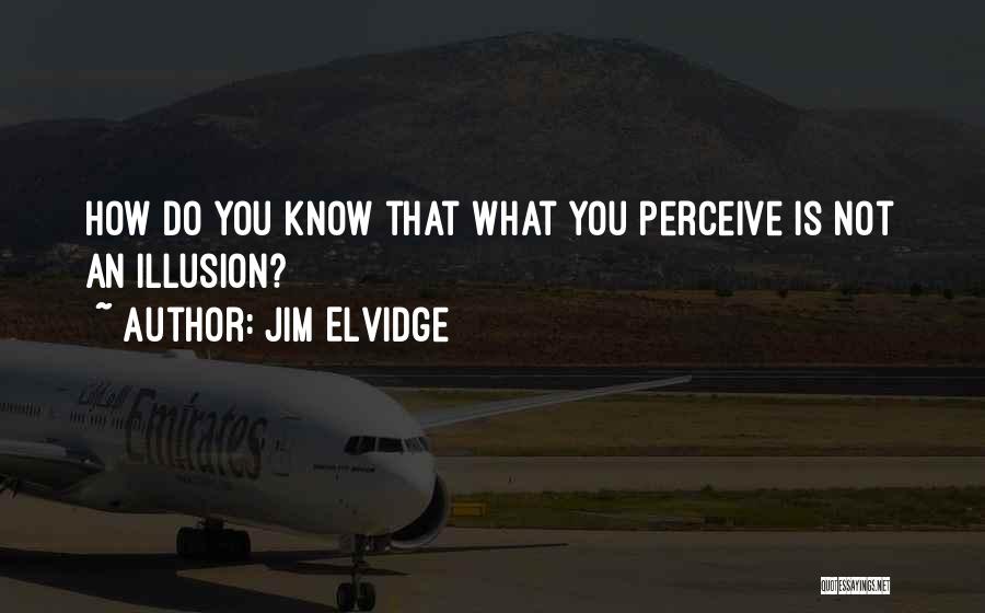 Jim Elvidge Quotes: How Do You Know That What You Perceive Is Not An Illusion?