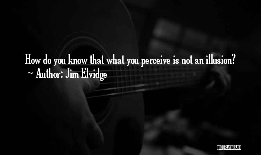 Jim Elvidge Quotes: How Do You Know That What You Perceive Is Not An Illusion?