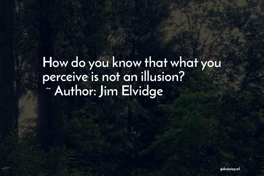 Jim Elvidge Quotes: How Do You Know That What You Perceive Is Not An Illusion?