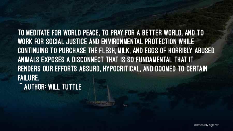 Will Tuttle Quotes: To Meditate For World Peace, To Pray For A Better World, And To Work For Social Justice And Environmental Protection