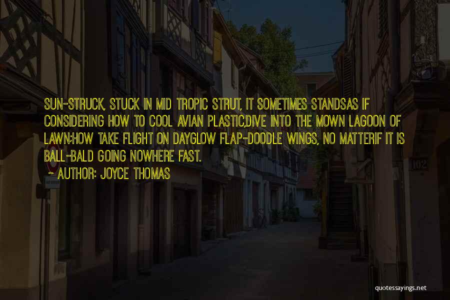 Joyce Thomas Quotes: Sun-struck, Stuck In Mid Tropic Strut, It Sometimes Standsas If Considering How To Cool Avian Plastic,dive Into The Mown Lagoon