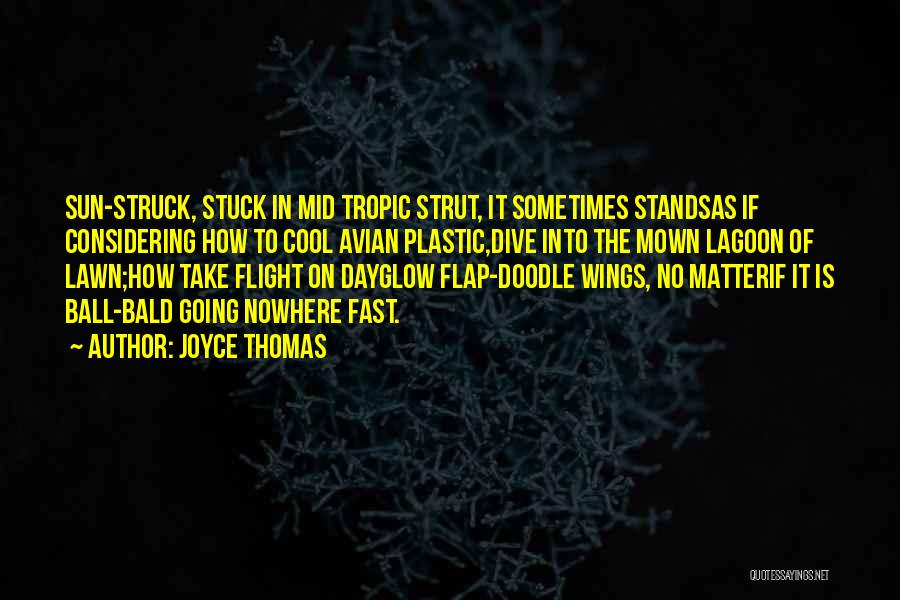 Joyce Thomas Quotes: Sun-struck, Stuck In Mid Tropic Strut, It Sometimes Standsas If Considering How To Cool Avian Plastic,dive Into The Mown Lagoon