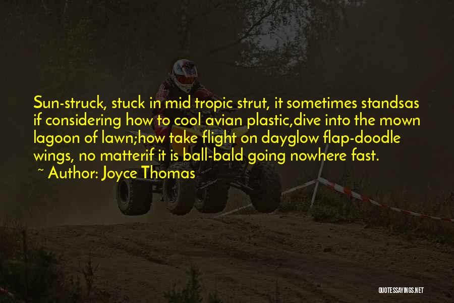 Joyce Thomas Quotes: Sun-struck, Stuck In Mid Tropic Strut, It Sometimes Standsas If Considering How To Cool Avian Plastic,dive Into The Mown Lagoon