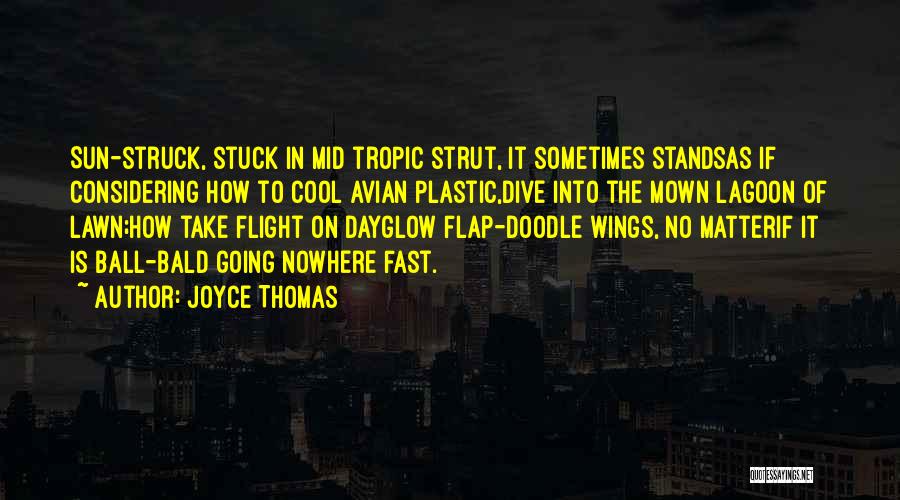 Joyce Thomas Quotes: Sun-struck, Stuck In Mid Tropic Strut, It Sometimes Standsas If Considering How To Cool Avian Plastic,dive Into The Mown Lagoon