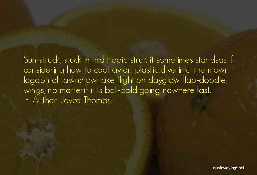 Joyce Thomas Quotes: Sun-struck, Stuck In Mid Tropic Strut, It Sometimes Standsas If Considering How To Cool Avian Plastic,dive Into The Mown Lagoon