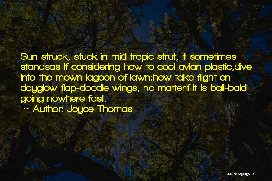 Joyce Thomas Quotes: Sun-struck, Stuck In Mid Tropic Strut, It Sometimes Standsas If Considering How To Cool Avian Plastic,dive Into The Mown Lagoon