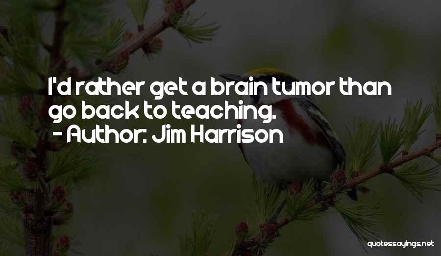 Jim Harrison Quotes: I'd Rather Get A Brain Tumor Than Go Back To Teaching.