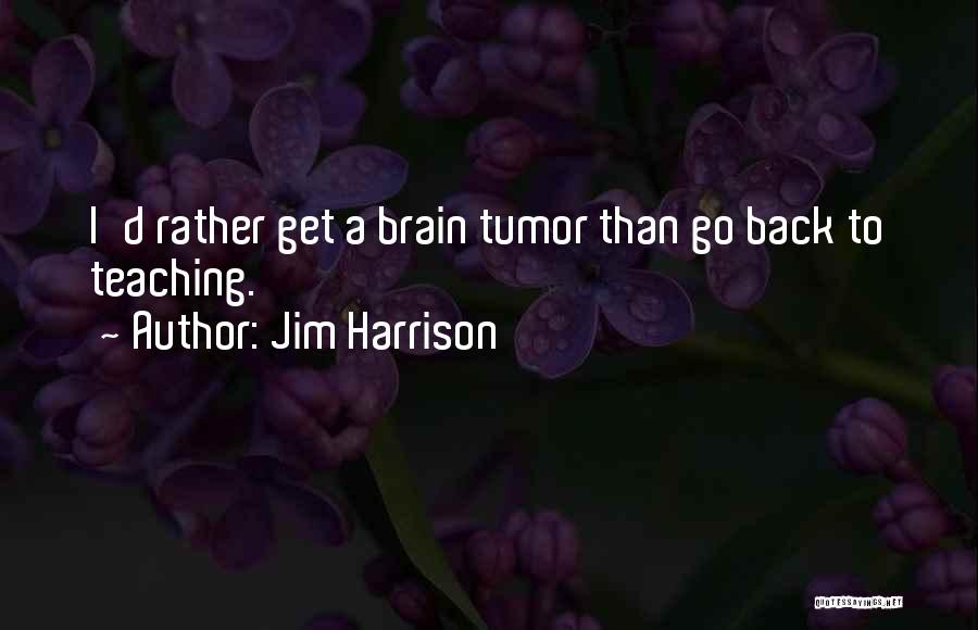 Jim Harrison Quotes: I'd Rather Get A Brain Tumor Than Go Back To Teaching.
