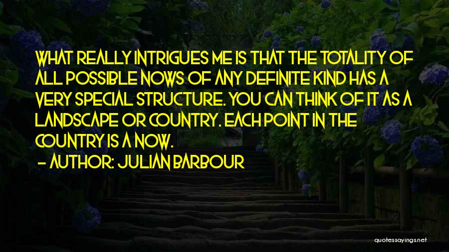 Julian Barbour Quotes: What Really Intrigues Me Is That The Totality Of All Possible Nows Of Any Definite Kind Has A Very Special