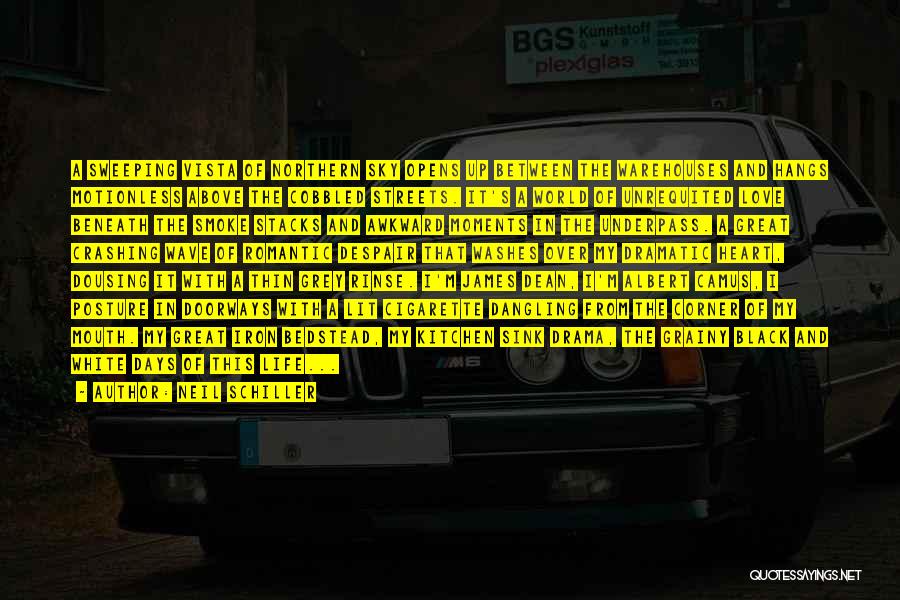 Neil Schiller Quotes: A Sweeping Vista Of Northern Sky Opens Up Between The Warehouses And Hangs Motionless Above The Cobbled Streets. It's A