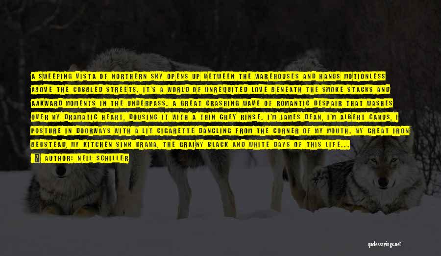 Neil Schiller Quotes: A Sweeping Vista Of Northern Sky Opens Up Between The Warehouses And Hangs Motionless Above The Cobbled Streets. It's A