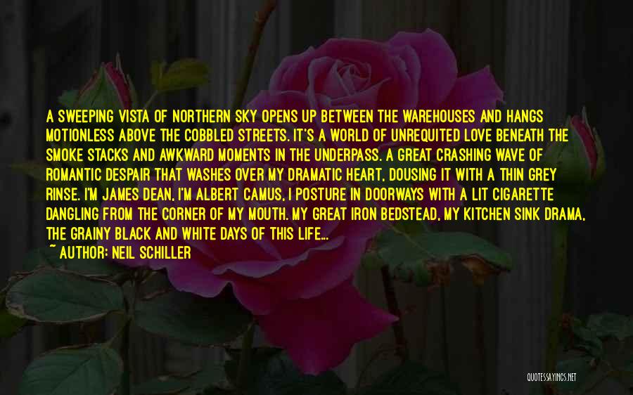 Neil Schiller Quotes: A Sweeping Vista Of Northern Sky Opens Up Between The Warehouses And Hangs Motionless Above The Cobbled Streets. It's A