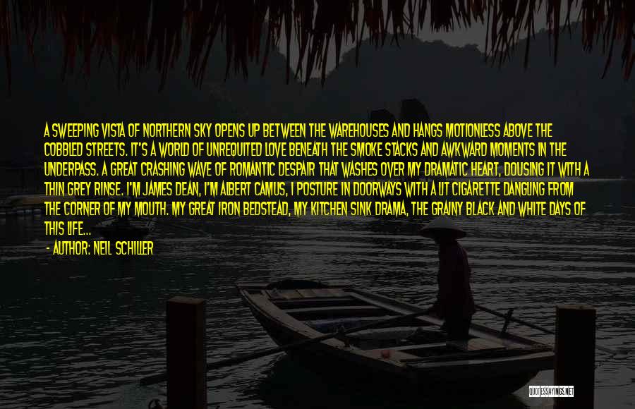 Neil Schiller Quotes: A Sweeping Vista Of Northern Sky Opens Up Between The Warehouses And Hangs Motionless Above The Cobbled Streets. It's A