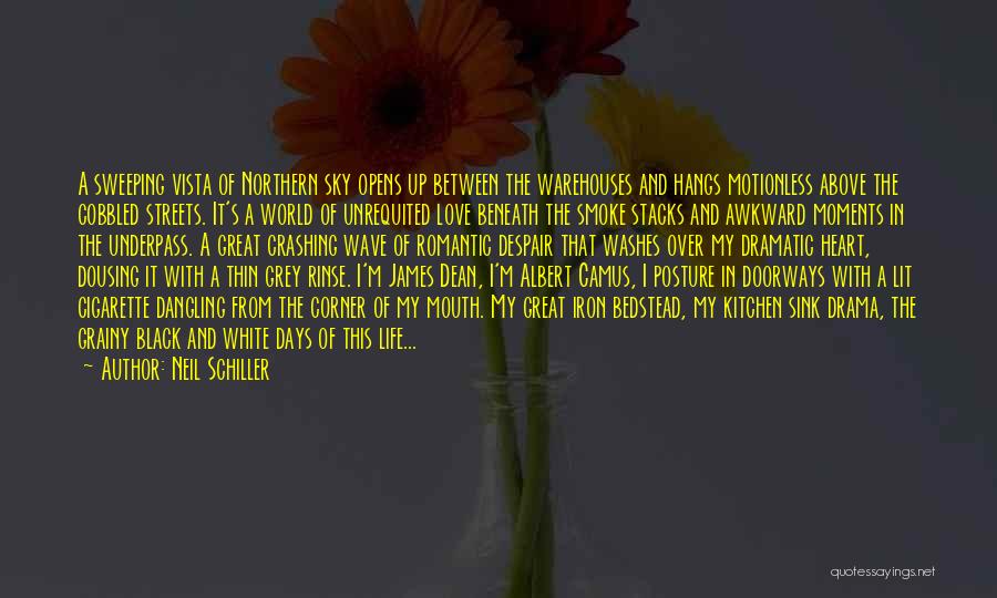 Neil Schiller Quotes: A Sweeping Vista Of Northern Sky Opens Up Between The Warehouses And Hangs Motionless Above The Cobbled Streets. It's A