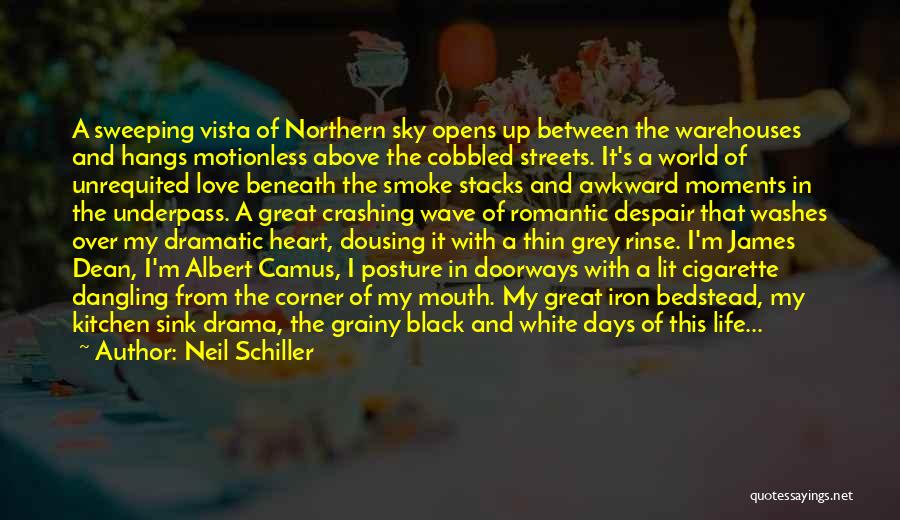 Neil Schiller Quotes: A Sweeping Vista Of Northern Sky Opens Up Between The Warehouses And Hangs Motionless Above The Cobbled Streets. It's A