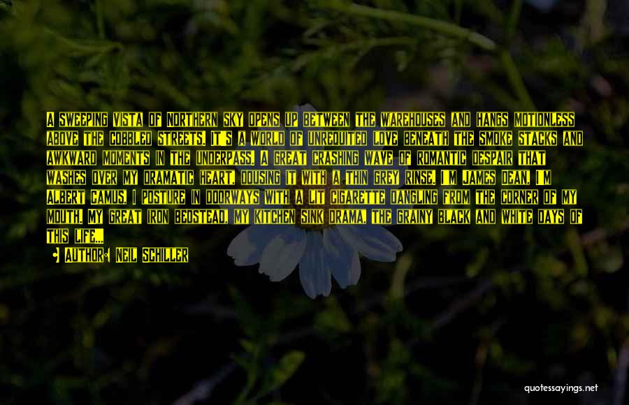 Neil Schiller Quotes: A Sweeping Vista Of Northern Sky Opens Up Between The Warehouses And Hangs Motionless Above The Cobbled Streets. It's A