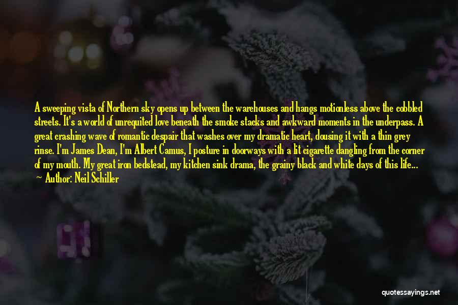 Neil Schiller Quotes: A Sweeping Vista Of Northern Sky Opens Up Between The Warehouses And Hangs Motionless Above The Cobbled Streets. It's A
