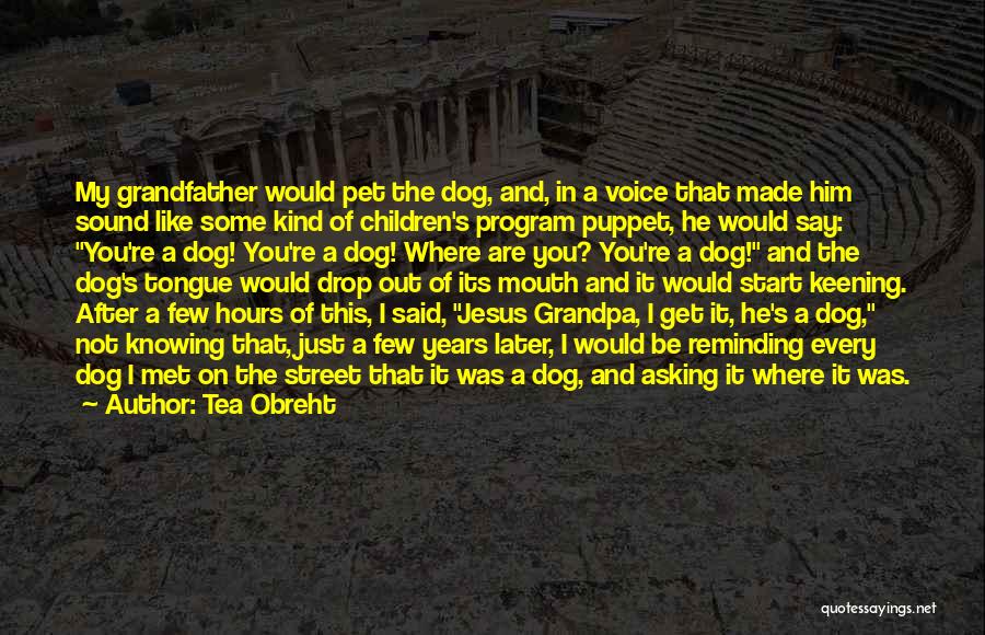 Tea Obreht Quotes: My Grandfather Would Pet The Dog, And, In A Voice That Made Him Sound Like Some Kind Of Children's Program