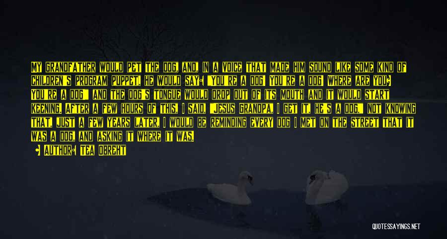 Tea Obreht Quotes: My Grandfather Would Pet The Dog, And, In A Voice That Made Him Sound Like Some Kind Of Children's Program