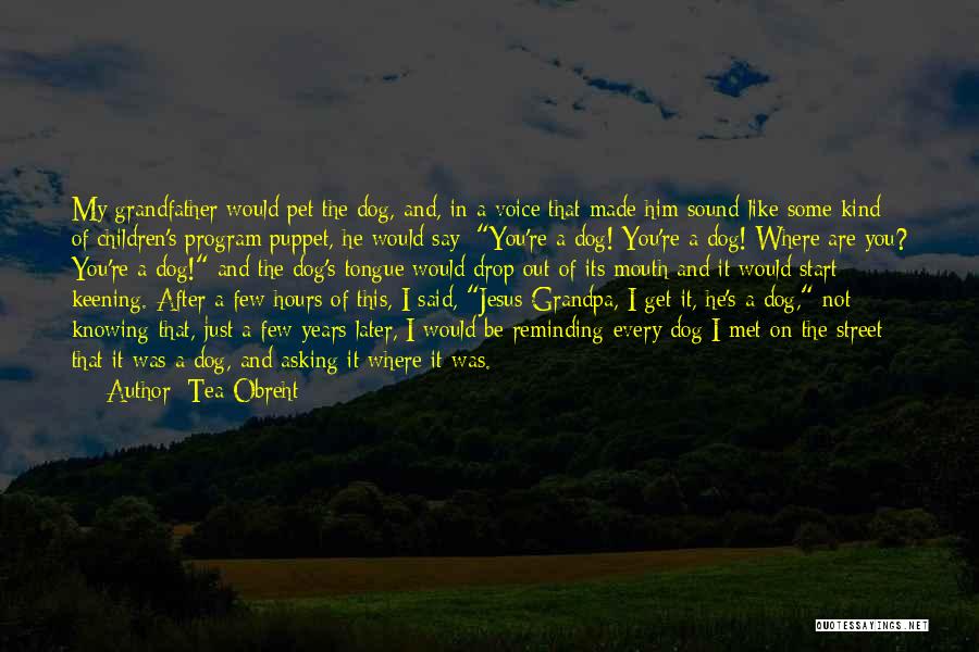 Tea Obreht Quotes: My Grandfather Would Pet The Dog, And, In A Voice That Made Him Sound Like Some Kind Of Children's Program