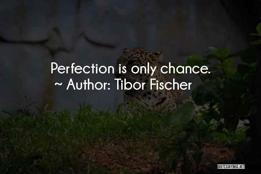 Tibor Fischer Quotes: Perfection Is Only Chance.