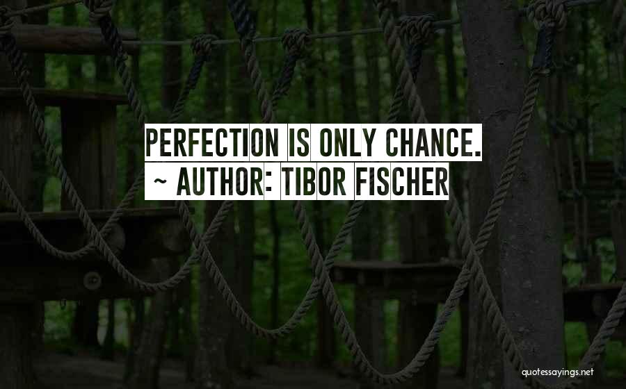 Tibor Fischer Quotes: Perfection Is Only Chance.