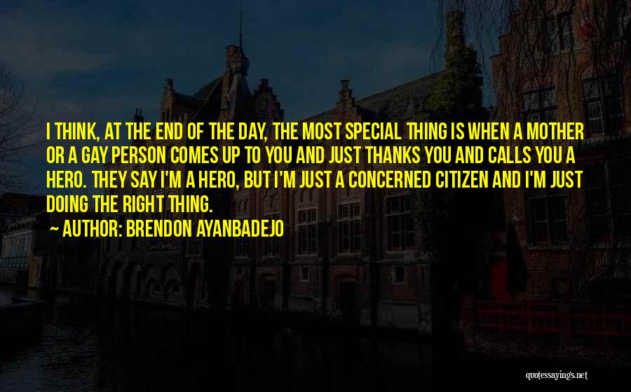 Brendon Ayanbadejo Quotes: I Think, At The End Of The Day, The Most Special Thing Is When A Mother Or A Gay Person