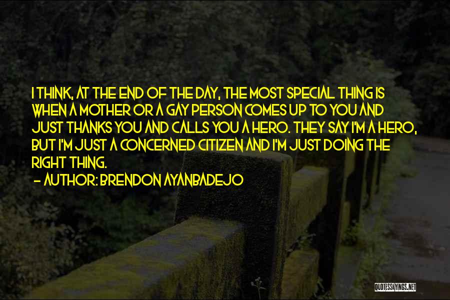 Brendon Ayanbadejo Quotes: I Think, At The End Of The Day, The Most Special Thing Is When A Mother Or A Gay Person