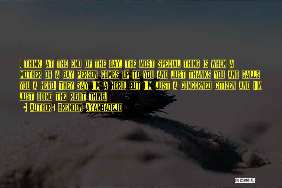 Brendon Ayanbadejo Quotes: I Think, At The End Of The Day, The Most Special Thing Is When A Mother Or A Gay Person