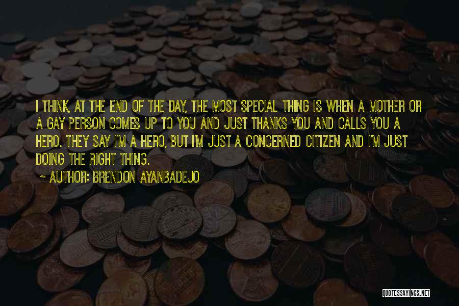 Brendon Ayanbadejo Quotes: I Think, At The End Of The Day, The Most Special Thing Is When A Mother Or A Gay Person