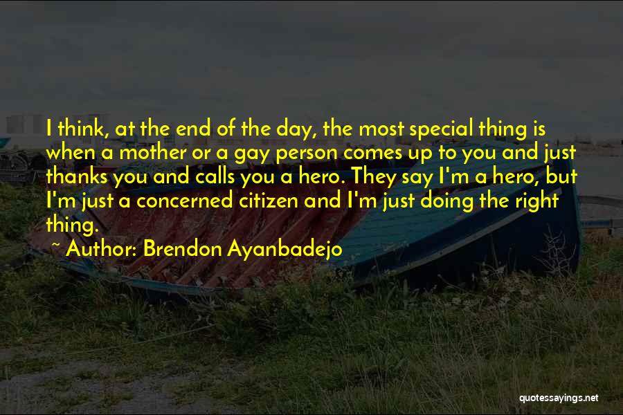 Brendon Ayanbadejo Quotes: I Think, At The End Of The Day, The Most Special Thing Is When A Mother Or A Gay Person