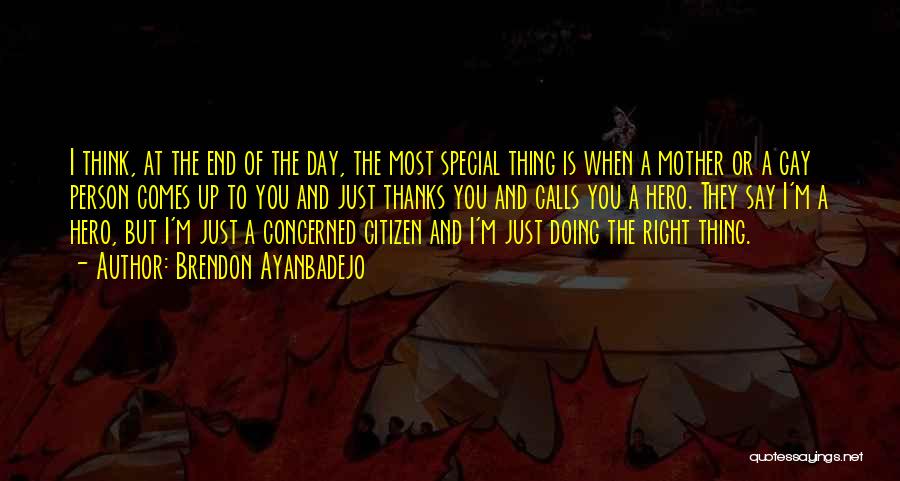 Brendon Ayanbadejo Quotes: I Think, At The End Of The Day, The Most Special Thing Is When A Mother Or A Gay Person