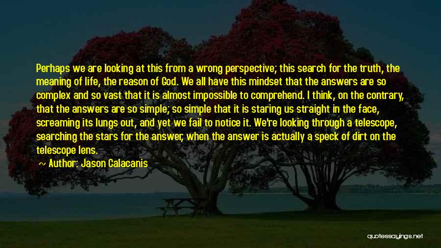 Jason Calacanis Quotes: Perhaps We Are Looking At This From A Wrong Perspective; This Search For The Truth, The Meaning Of Life, The